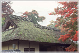 �}�C�z�[���N���Ƃ��čl�����b����̏ꍇ